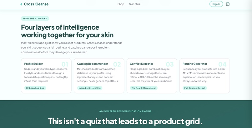 Cross Cleanse – screenshot 5