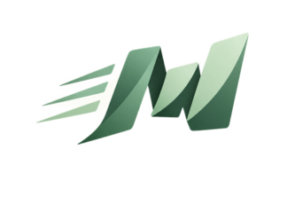 Momentum