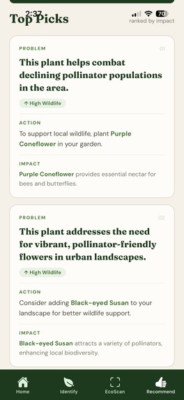 EcoLoco – screenshot 8