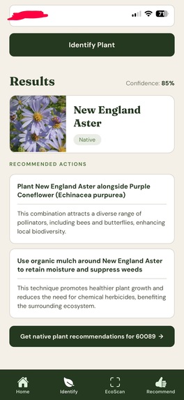 EcoLoco – screenshot 5