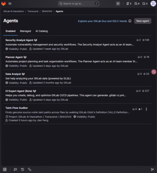 Taint-Flow Auditor – screenshot 3
