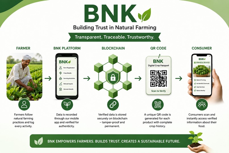 BNK – screenshot 1