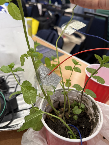 Plantcasso – screenshot 2