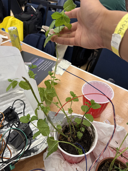 Plantcasso – screenshot 4