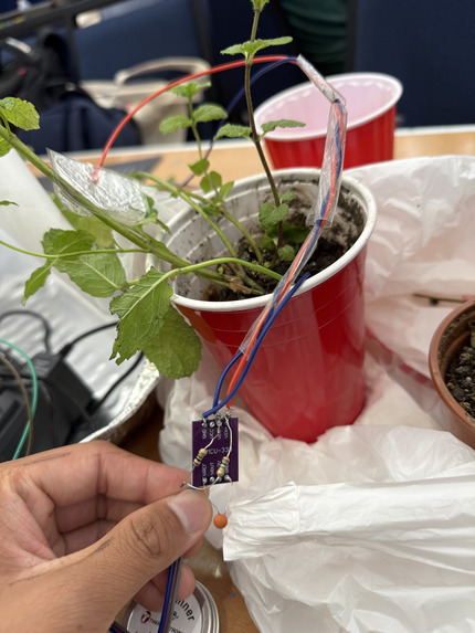 Plantcasso – screenshot 3