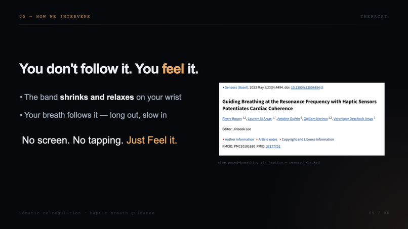Theracat – screenshot 12