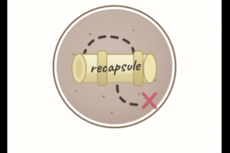 recapsule