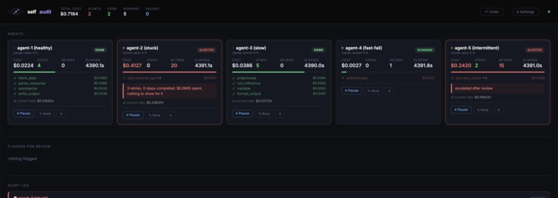 SelfAudit – screenshot 1