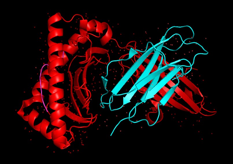 NovoProteinAI – screenshot 1