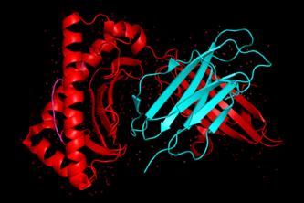 NovoProteinAI