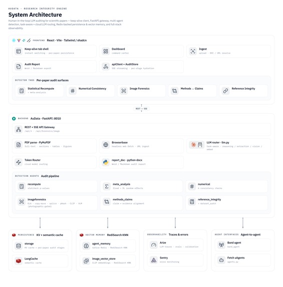 AuData - AI Copilot for Scientific Integrity – screenshot 11