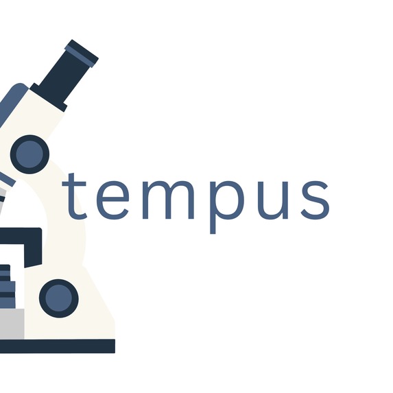 Tempus – screenshot 1