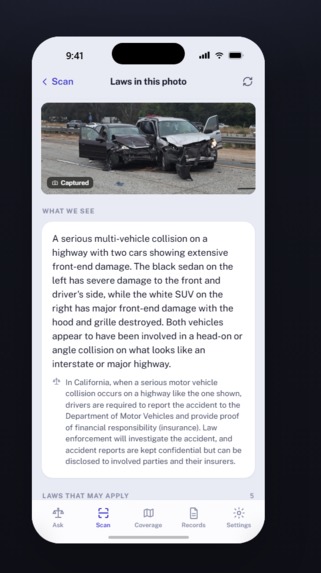 LegitLex – screenshot 7