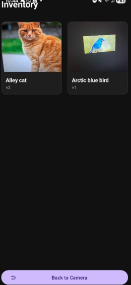 Animal Catch – screenshot 3