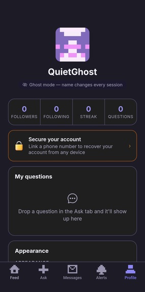 Mrs Question – screenshot 3