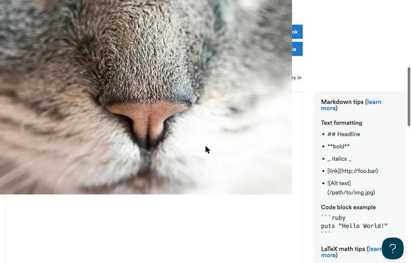 15 photos – screenshot 4