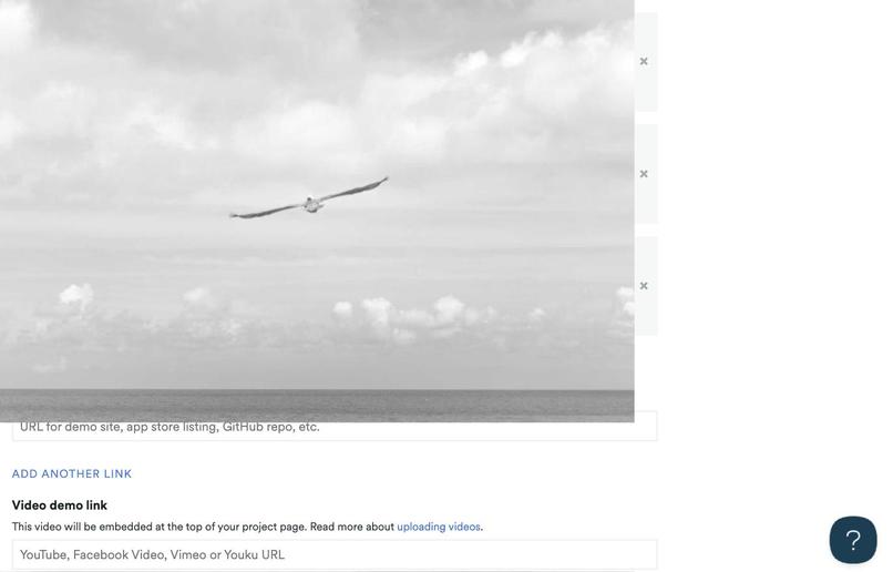 15 photos – screenshot 13
