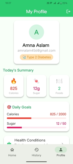 Human-Centered Food Recognition for Diabetics – screenshot 2