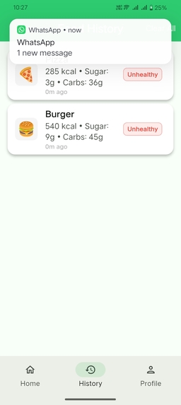 Human-Centered Food Recognition for Diabetics – screenshot 3