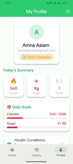 Human-Centered Food Recognition for Diabetics – screenshot 5