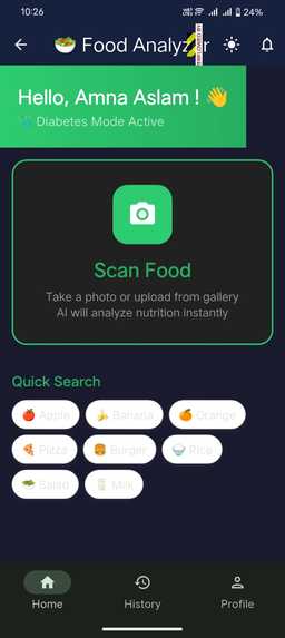 Human-Centered Food Recognition for Diabetics – screenshot 8