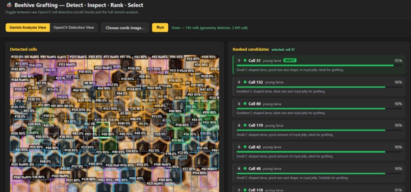 Beehive Grafting: Gemini-Guided Queen-Bee Grafting Robot – screenshot 1