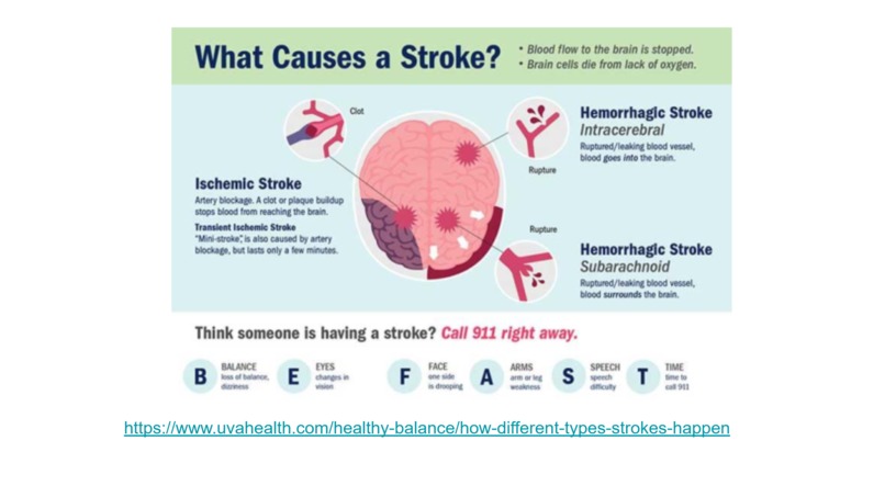 Sentinel: AI Powered Stroke Predictor – screenshot 5