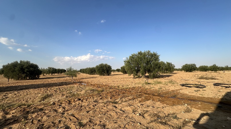 Saqi – screenshot 1