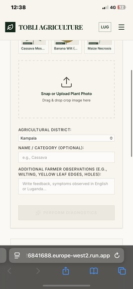 TOBLI – screenshot 3