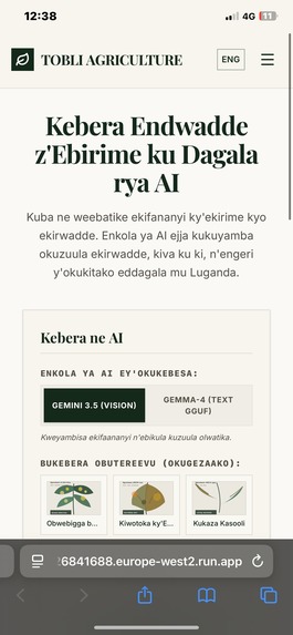 TOBLI – screenshot 9