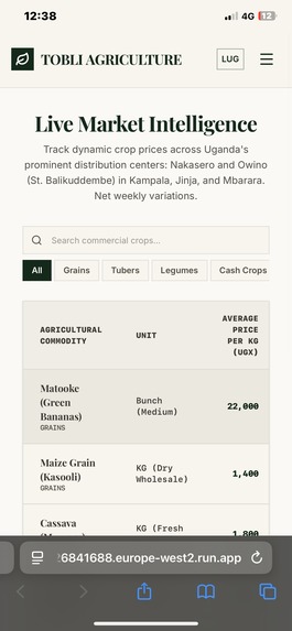 TOBLI – screenshot 13