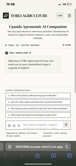 TOBLI – screenshot 2