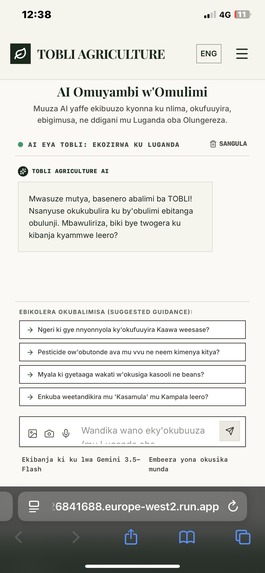 TOBLI – screenshot 8