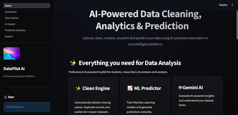 DataPilot AI – AI-Powered Data Cleaning & Analytics – screenshot 1