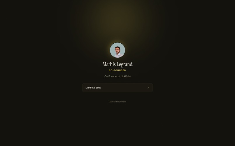 LinkFolio – screenshot 3