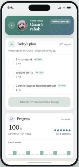 Oscar – screenshot 6