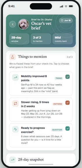Oscar – screenshot 5