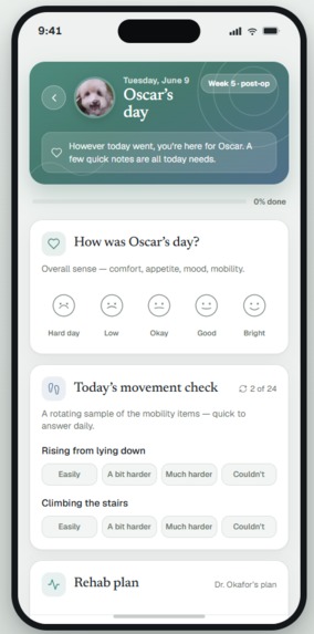 Oscar – screenshot 2