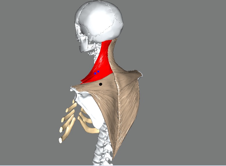 NeckQuest – screenshot 3