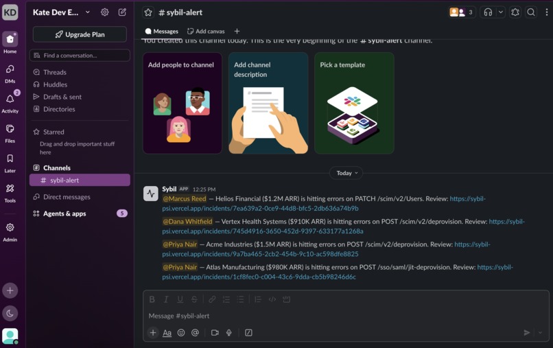 Sybil: Customer Observability for B2B SaaS – screenshot 3