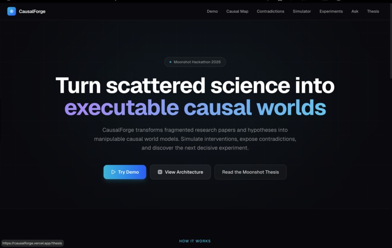 CausalForge – screenshot 1