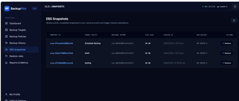 BackupPilot – screenshot 3