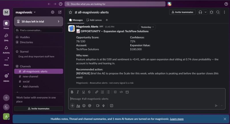 Magnivonic – screenshot 12