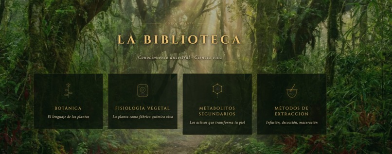 el floema – screenshot 4
