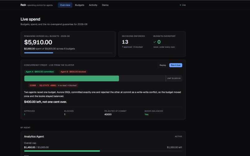 Rein – screenshot 1