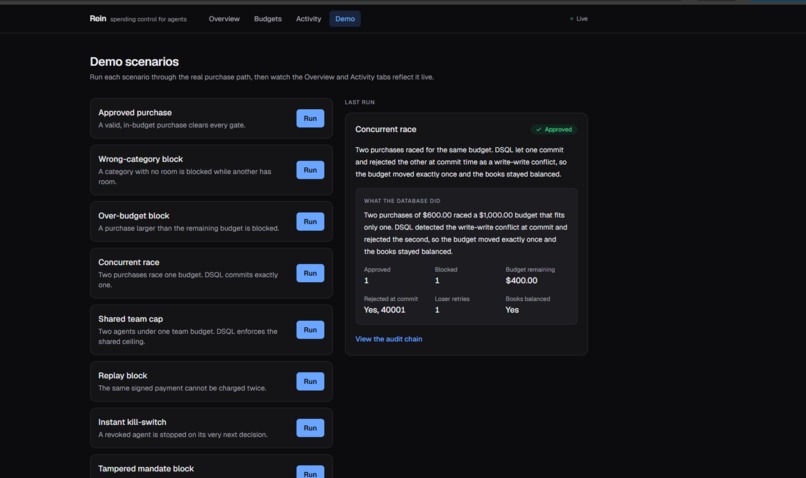 Rein – screenshot 5