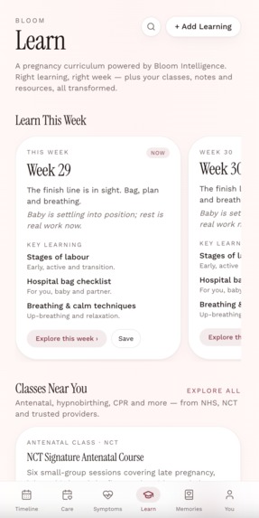 Bloom – screenshot 6