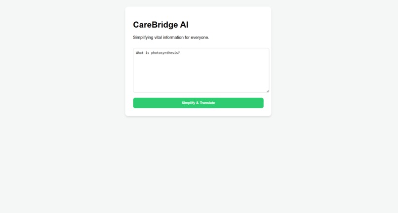 CareBridge AI – screenshot 1
