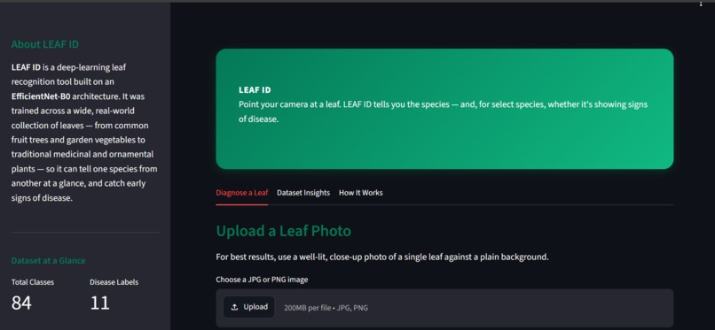 Leaf-ID – screenshot 1