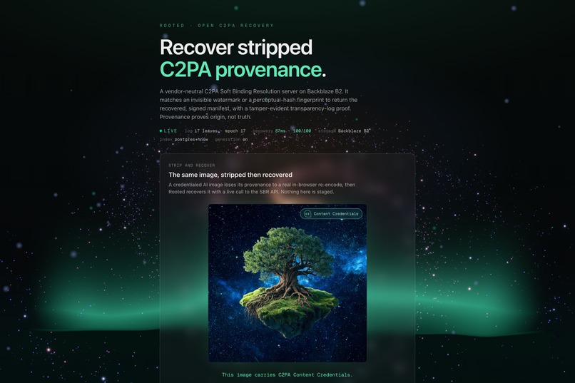 Rooted  – screenshot 1